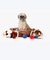 Pet's